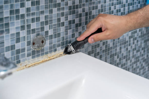 Best Mold Remediation Services  in Belle Rose, LA