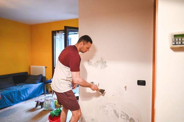 Best Emergency Mold Removal  in Belle Rose, LA